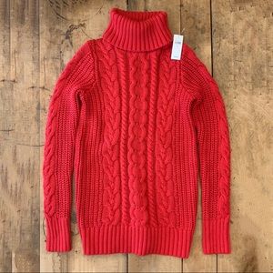 Gap Chunky Knit Turtleneck Sweater